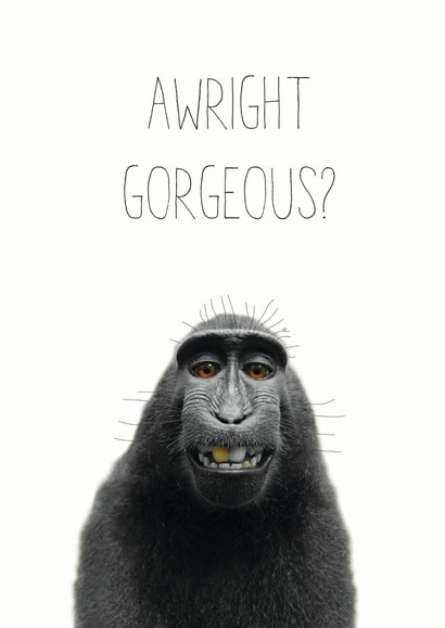 awright gorgeous Love & Friendship Card 14510 created by Chocolate Frog