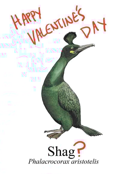 shag bird Valentines Day Card 38313 created by Blair