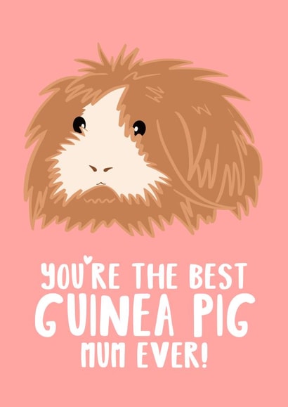 Best Guinea Pig Mum Card created by Tori's Little Bubble