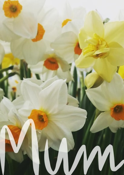 mum mothersday Card 26548 created by Judy Bainbridge