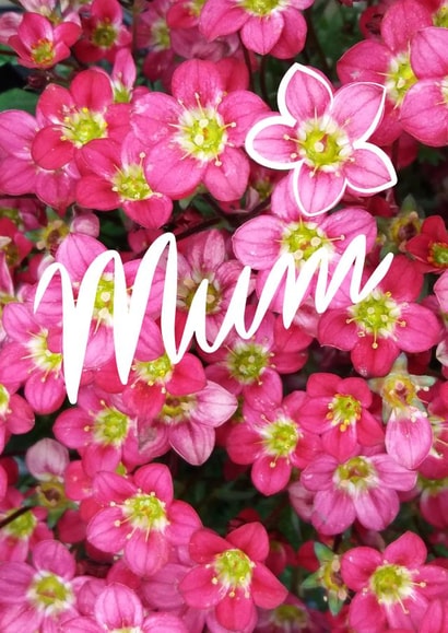 mum mother Card 26552 created by Judy Bainbridge