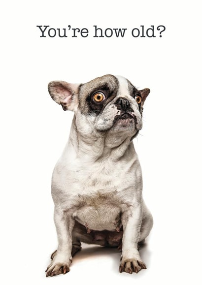 youre how Birthday Card 38665 created by GRUFFPAWTRAITS