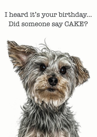 dog cake Birthday Card 14729 created by GRUFFPAWTRAITS