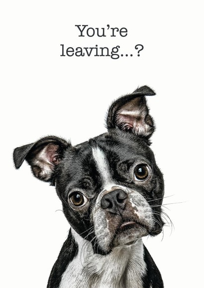 youre leaving Leaving Card 14730 created by GRUFFPAWTRAITS