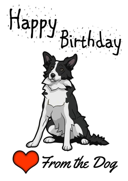 border collie Birthday Card 14789 created by Love from the Pet