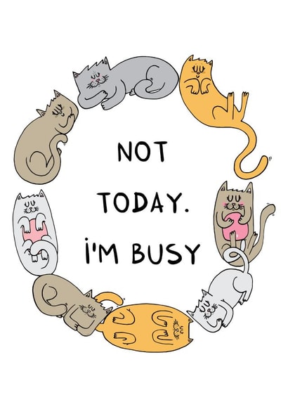 busy cat Card 23145 created by Adrian Serghie