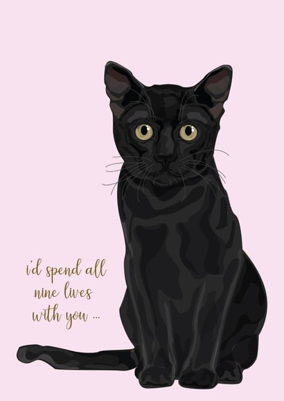 cat spend Anniversary Card 15289 created by Madeleine Grange-Glen