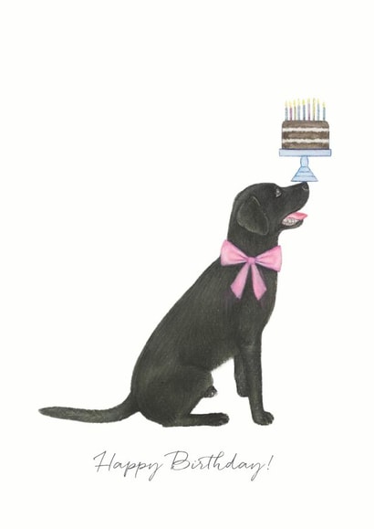 Labrador Cake Birthday Card 15310 created by Lottie Murphy