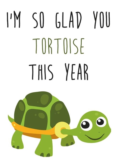 tortoise teacher Thank You Card 14141 created by Fabulously Framed