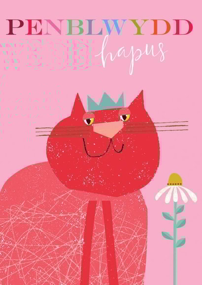 welsh birthday card - cat - penblwydd hapus - pretty and traditional created by Kali Stileman