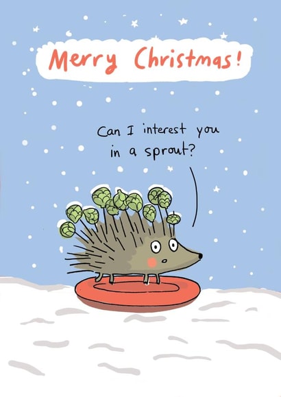 Funny hedgehog Christmas card - happy Christmas can I interest you in a sprout? created by Sarah Ray