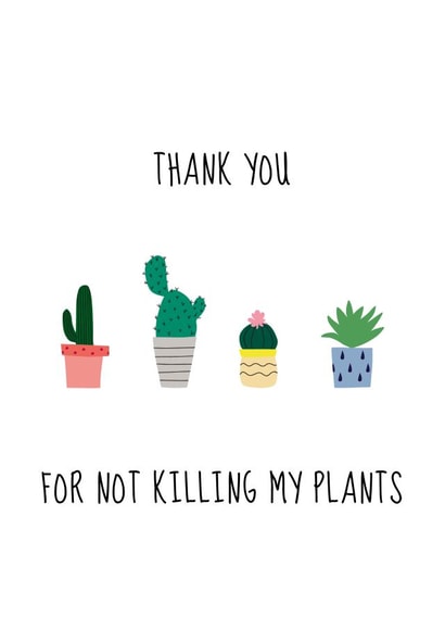 cactus illustration Thank You Card 7765 created by Lou La La