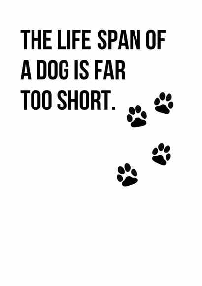 lifespan short Sympathy Card 5766 created by Open Space Collective