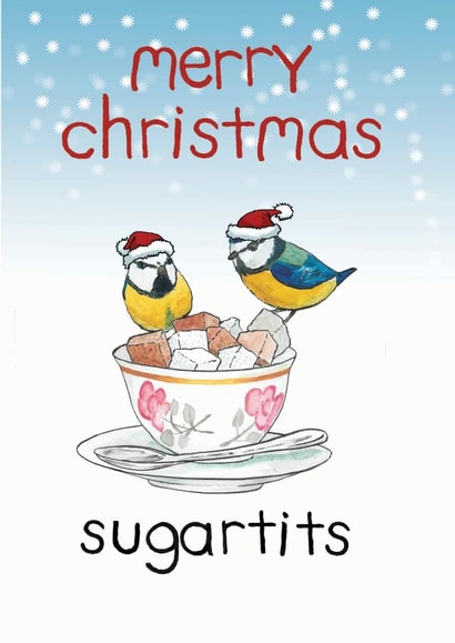 sugartits birds Christmas Card 14557 created by Blair