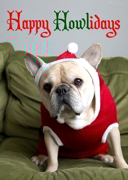 frenchie frenchbulldog Card 37810 created by Sofia Wåhlin