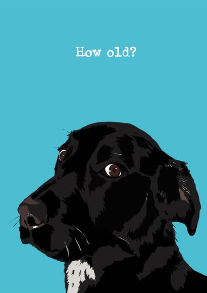 How old? Dog birthday card created by Perkins & Morley