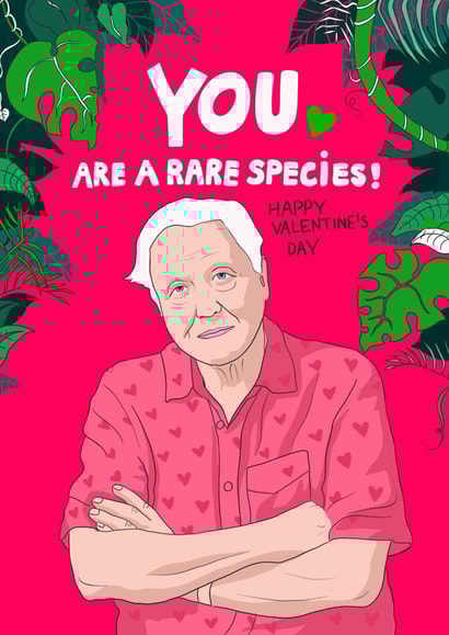 Funny Valentines Day Card - David Attenborough - You Are A Rare Species created by Kasia Cards