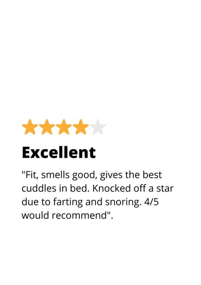 Funny Valentines Day Card - 4 Star Review - Excellent, Would Recommend created by original fox designs