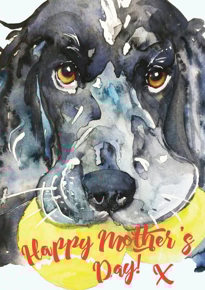 Cute Mothers Day Card - Mum - Spaniel - Happy Mother's Day created by Jo Scott Art