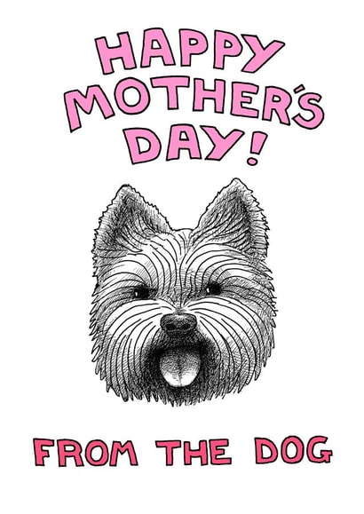 westie terrier Mothers Day Card 1946 created by Off The Leash Cartoons by Rupert Fawcett