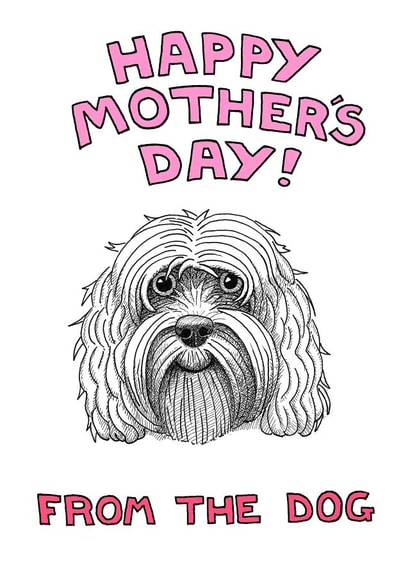 cockapoo adult Mothers Day Card 1947 created by Off The Leash Cartoons by Rupert Fawcett