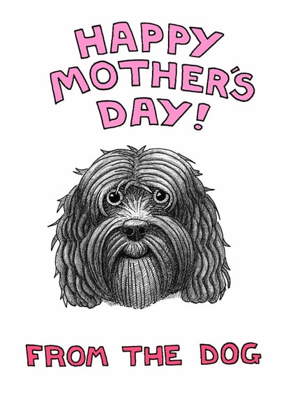cockapoo adult Mothers Day Card 1948 created by Off The Leash Cartoons by Rupert Fawcett