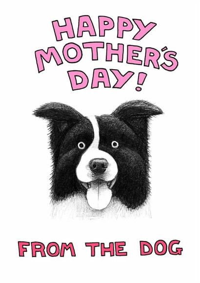 collie adult Mothers Day Card 1950 created by Off The Leash Cartoons by Rupert Fawcett