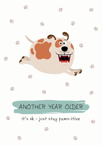 another year older Birthday Card 12496 created by Cloud 9 Design