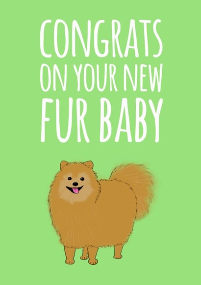 cute animal New Baby Card 16399 created by Quirky Little Planet