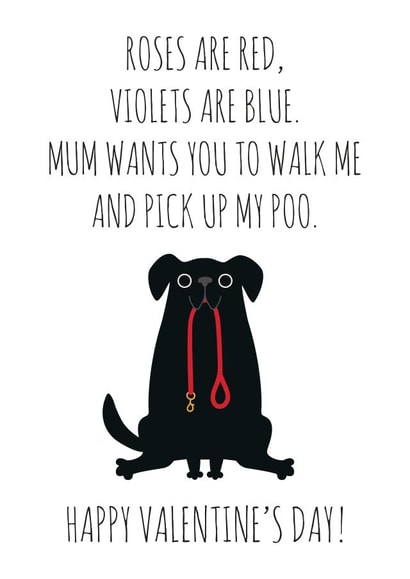 adult illustration Valentines Day Card 7615 created by Chelsey Adams