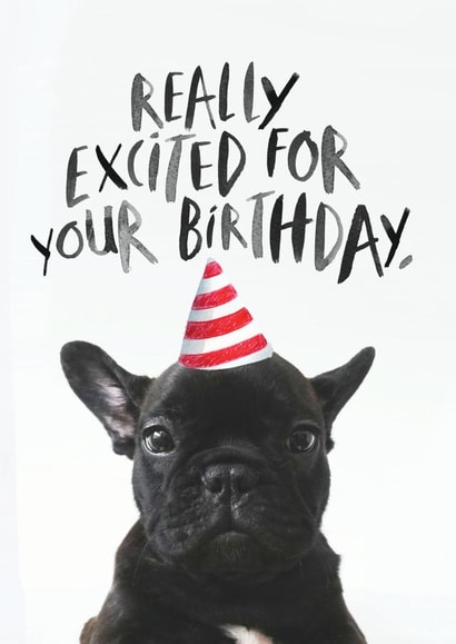 frenchie dog Birthday Card 15561 created by JOLLY AWESOME