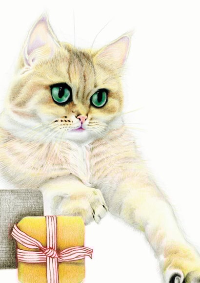 Card 24031 created by DECKLED EDGE LTD