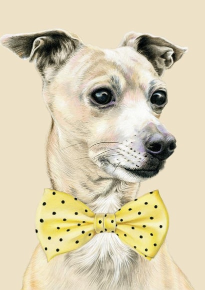 dog bowtie Birthday Card 24033 created by DECKLED EDGE LTD
