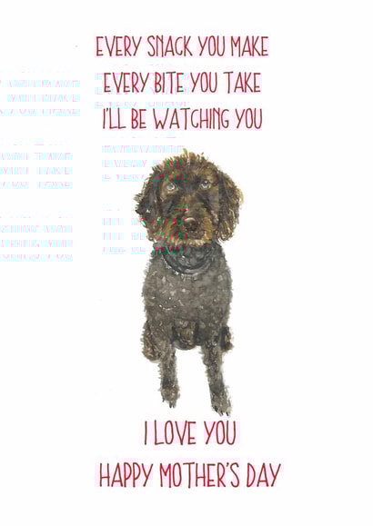 every snack bite Mothers Day Card 14169 created by Sarah Maddox