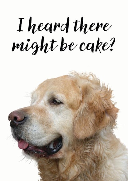 cake heard Birthday Card 9899 created by Jon Hall Design