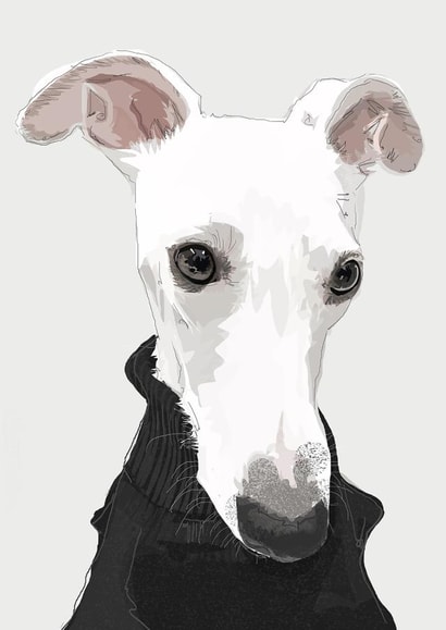 pet whippet Birthday Card 16835 created by Higgledy Pets
