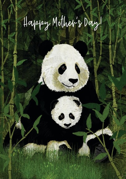 panda giant Card 28380 created by Katherine Blower