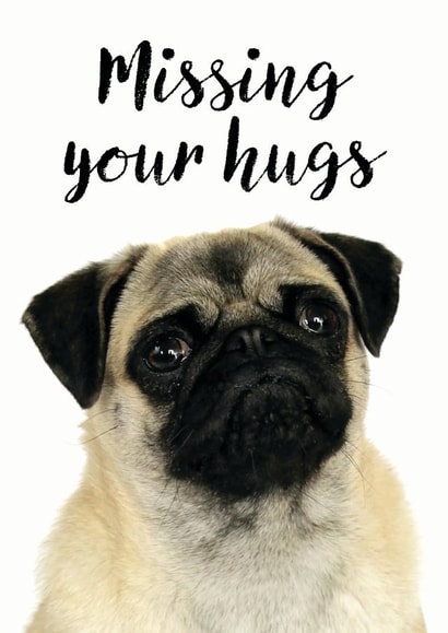 pug hugs Just because Card 9901 created by Jon Hall Design