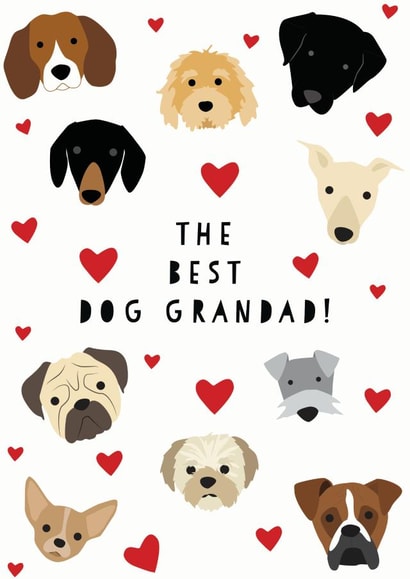 Cute Dog Grandad Fathers Day Card / Birthday Card - Grandad - Dogs - The Best Dog Grandad created by Heather Alstead Design LTD