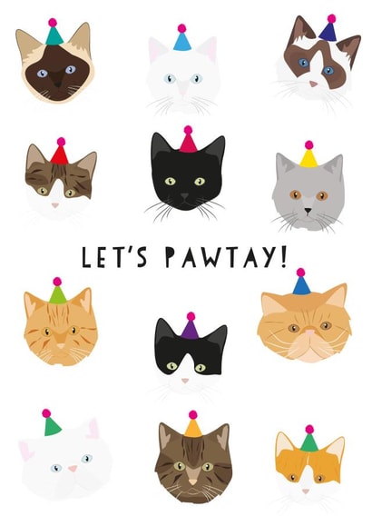 pawtay cat Birthday Card 9864 created by Heather Alstead Design LTD