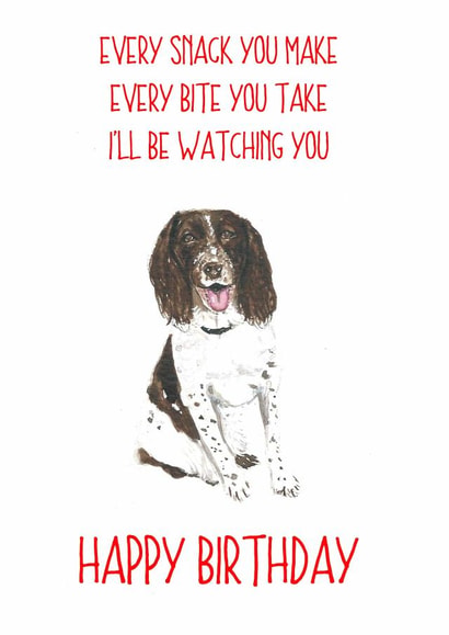 spaniel watching Birthday Card 14195 created by Sarah Maddox