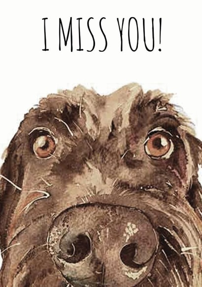 Miss you dog Thinking of you Card 1597 created by Jo Scott Art