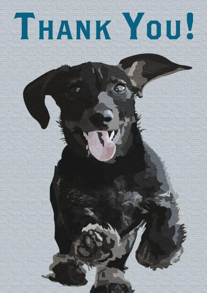 Thank you dachshund Card 25891 created by Periodic Society