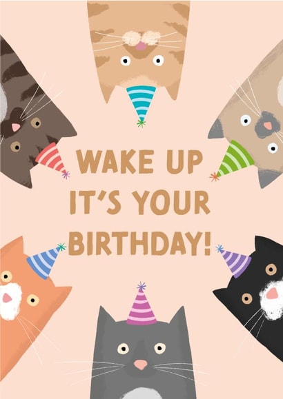 cats funny Birthday Card 17649 created by Studio Mads