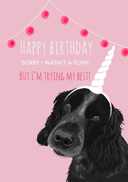 sorry i'm Just because Card 17519 created by Tutti Frutti Designs