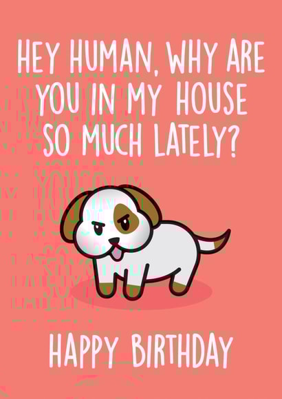 human why Birthday Card 31071 created by Thirty Mussels