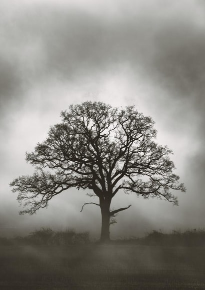 Miss you Isolation Card 31990 created by Duncan Buchanan