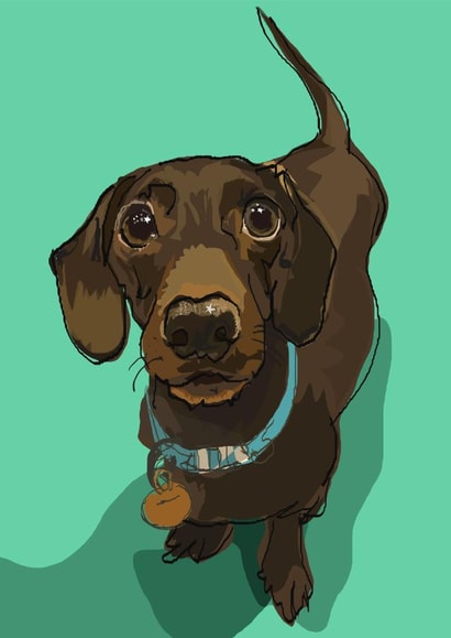 Sausage Green Just because Card 16846 created by Higgledy Pets