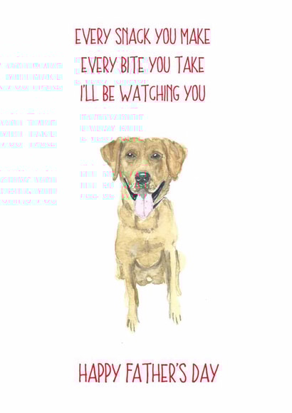 Every snack you make Father's Day card 1012 created by Sarah Maddox