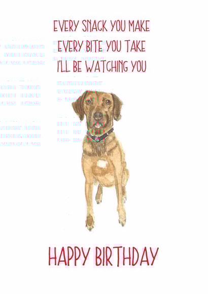 labrador every snack you make Birthday Card 14204 created by Sarah Maddox